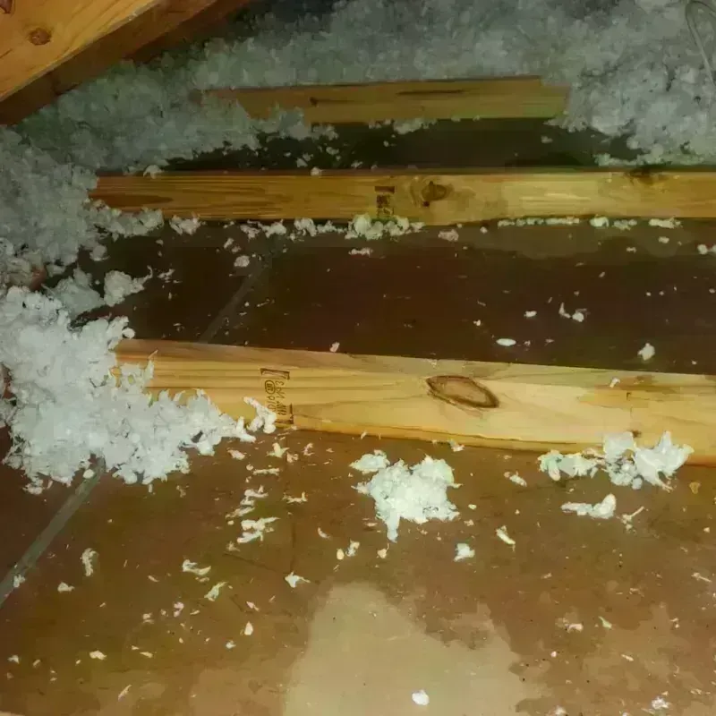 Attic Water Damage in Ossipee, NH